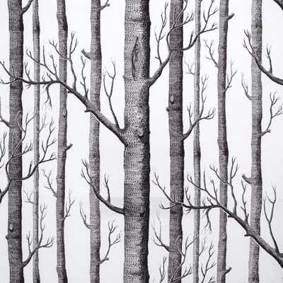 wallpaper trees. Birch+tree+wallpaper